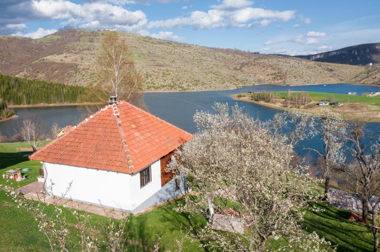 Uvac Griffon Villa Nova Varoš Buitenkant foto
