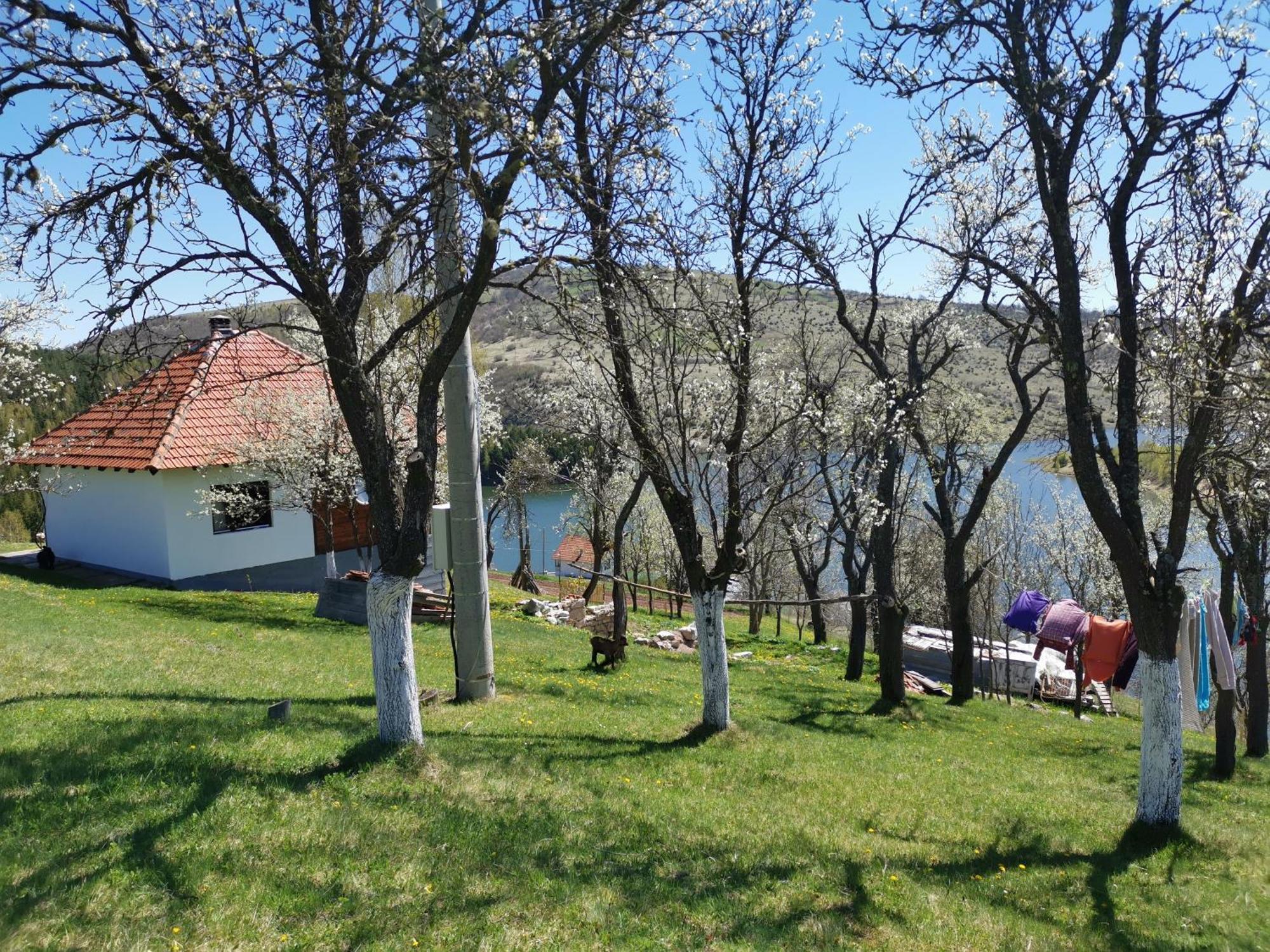 Uvac Griffon Villa Nova Varoš Buitenkant foto