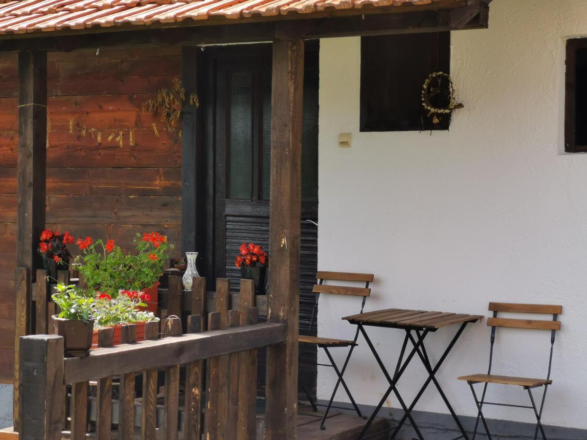 Uvac Griffon Villa Nova Varoš Buitenkant foto