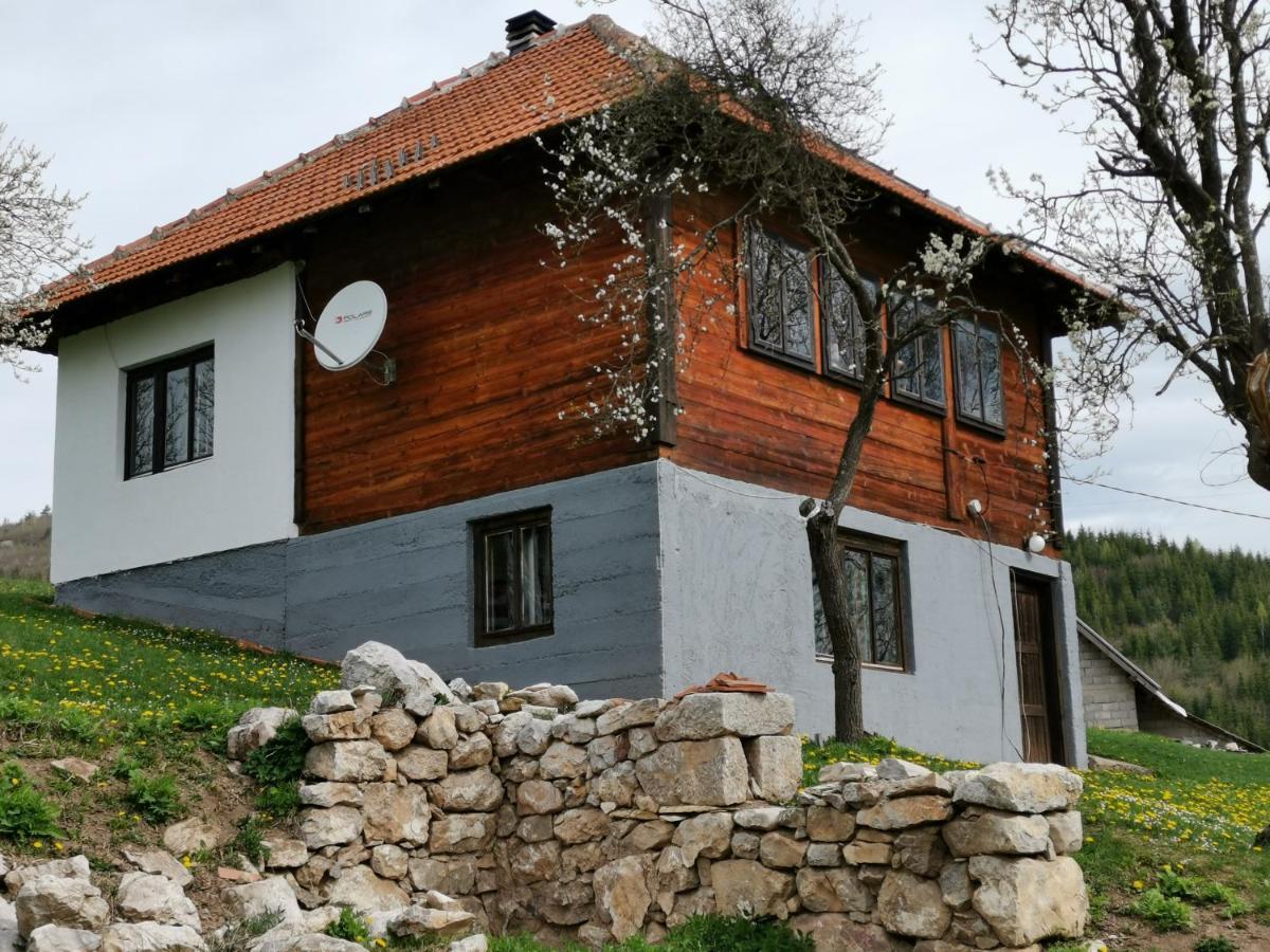 Uvac Griffon Villa Nova Varoš Buitenkant foto