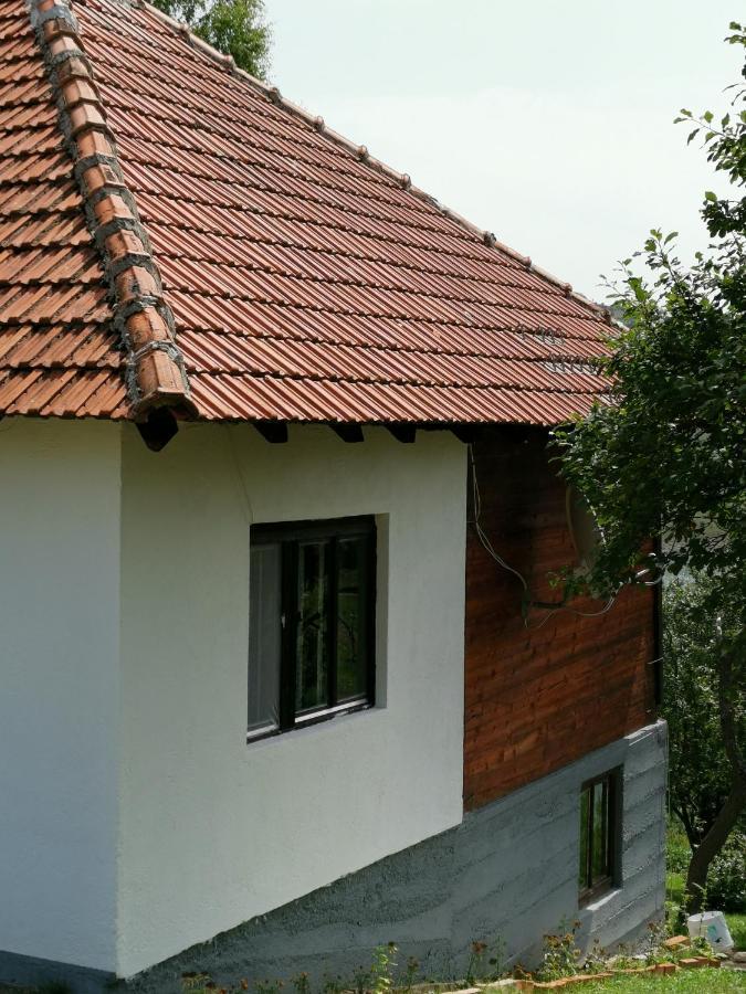Uvac Griffon Villa Nova Varoš Buitenkant foto