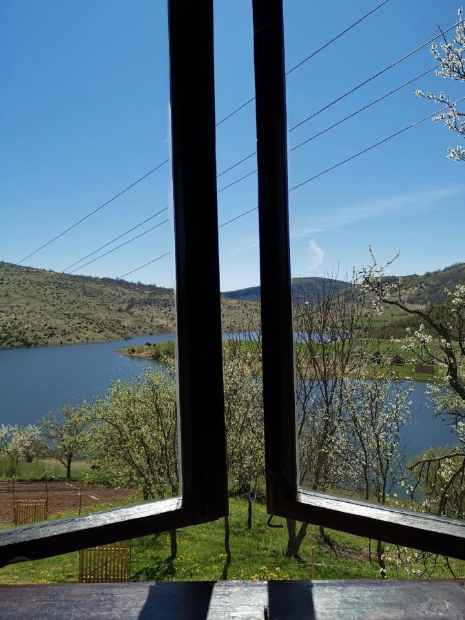 Uvac Griffon Villa Nova Varoš Buitenkant foto