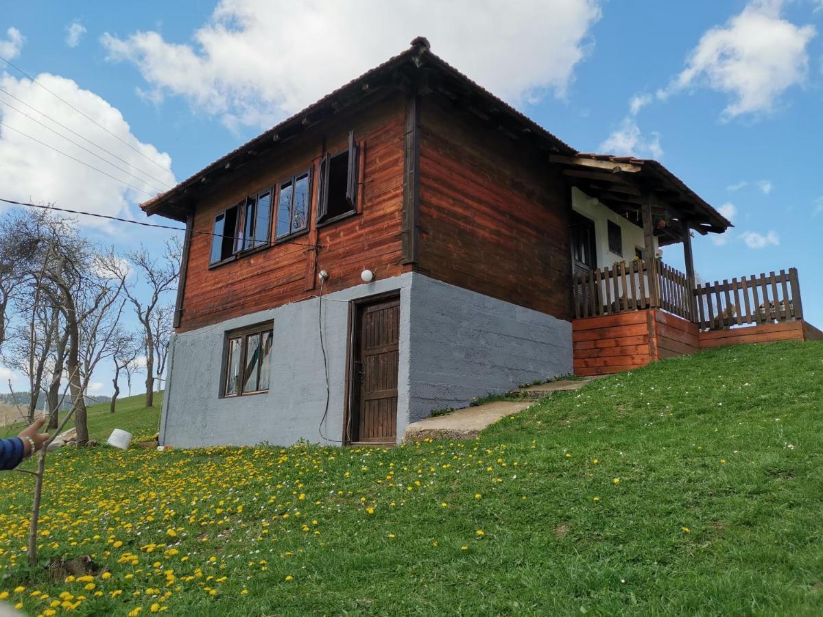 Uvac Griffon Villa Nova Varoš Buitenkant foto