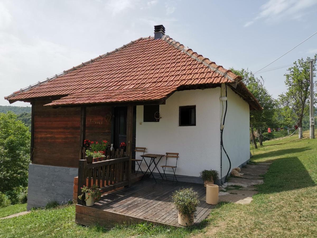 Uvac Griffon Villa Nova Varoš Buitenkant foto