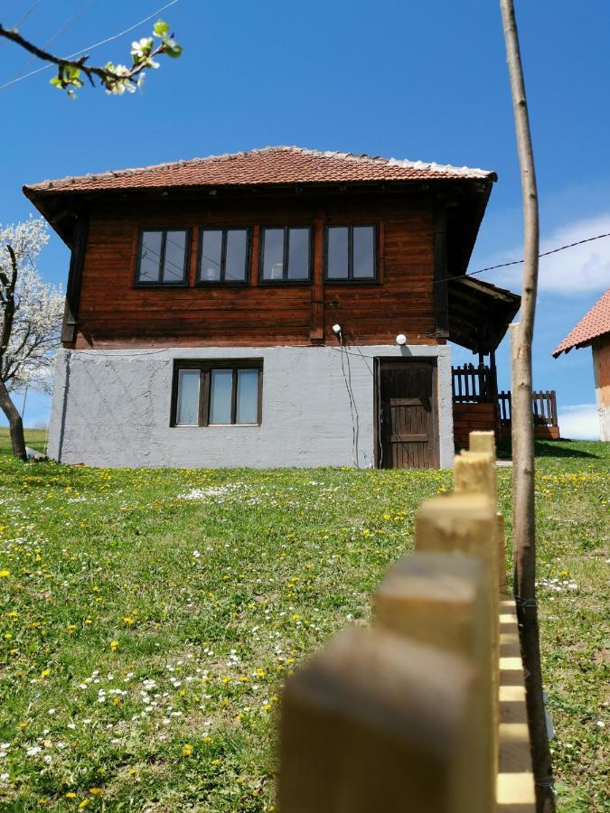 Uvac Griffon Villa Nova Varoš Buitenkant foto