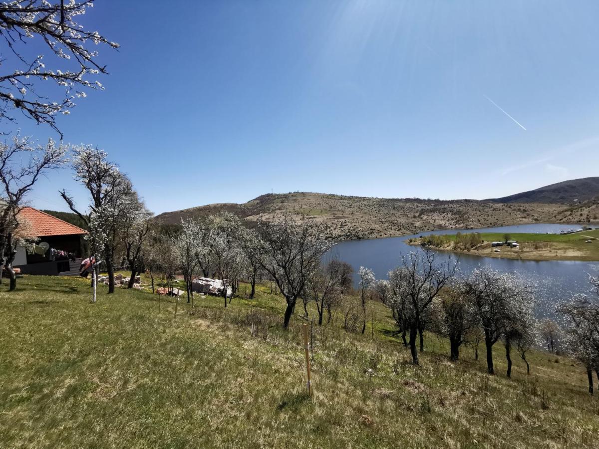 Uvac Griffon Villa Nova Varoš Buitenkant foto