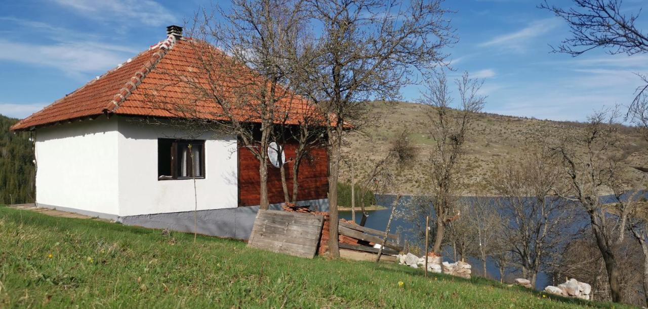 Uvac Griffon Villa Nova Varoš Buitenkant foto
